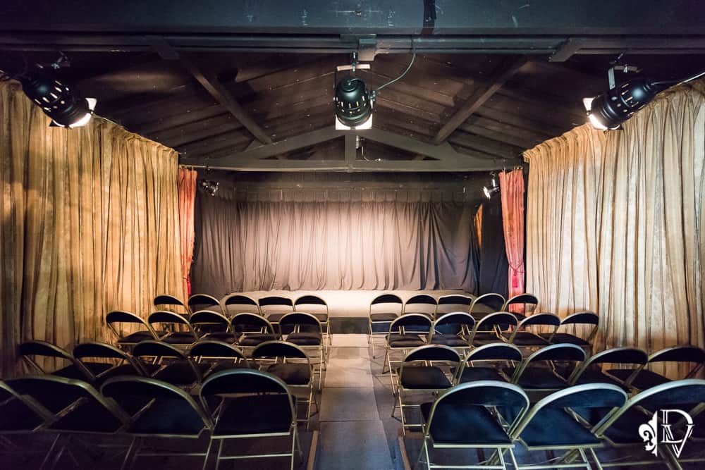 théâtre privatisable - Les Demoiselles à Versailles