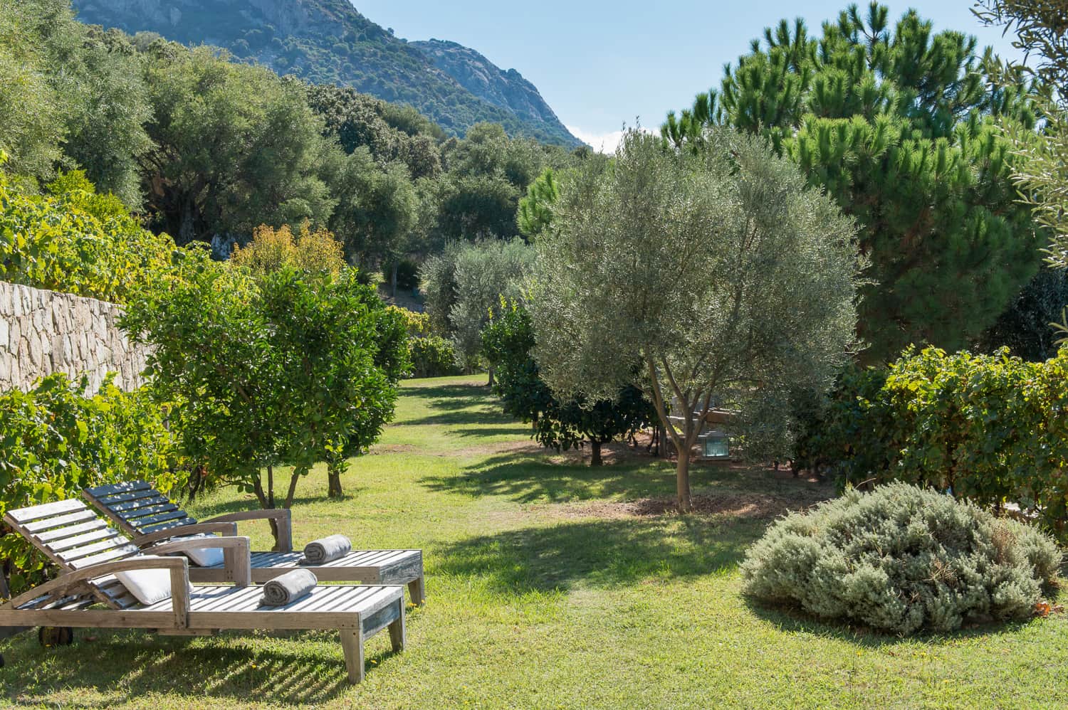 Jardin - Villa Du Golf