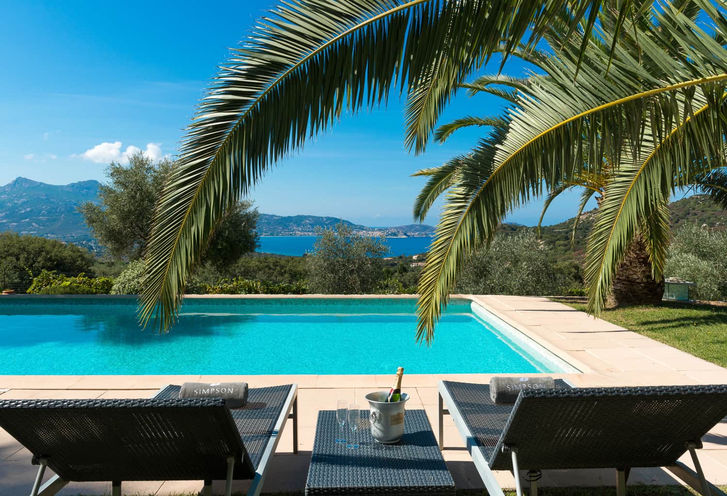 Piscine - Villa Palmeraie