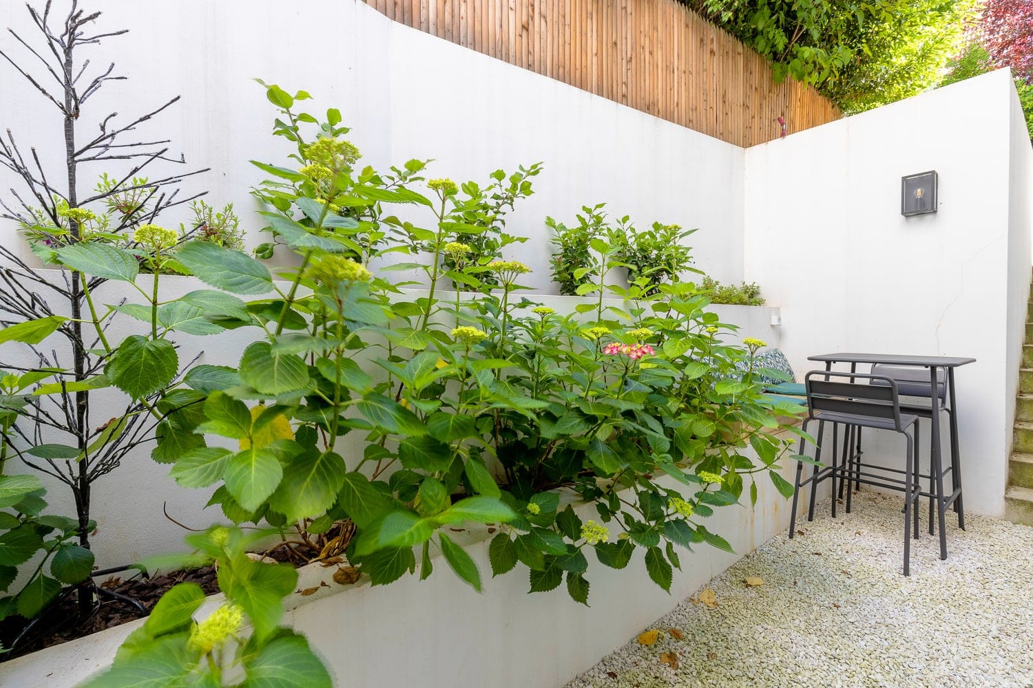 Jardin - Villa Margot