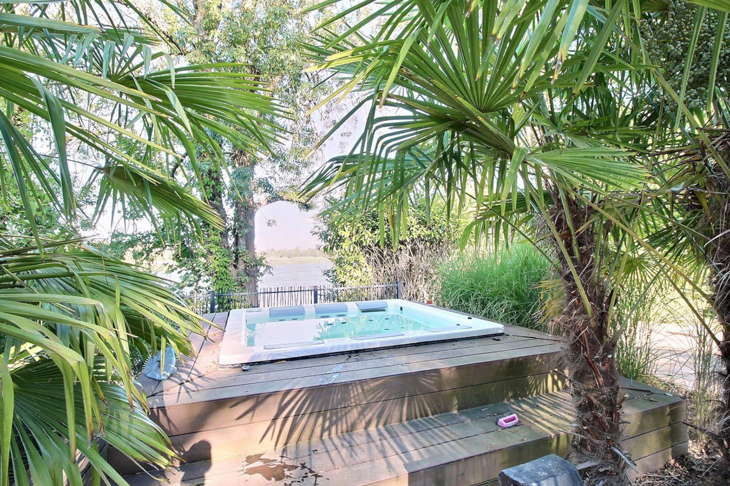 jacuzzi avec palmier en location courte durée haut de gamme
