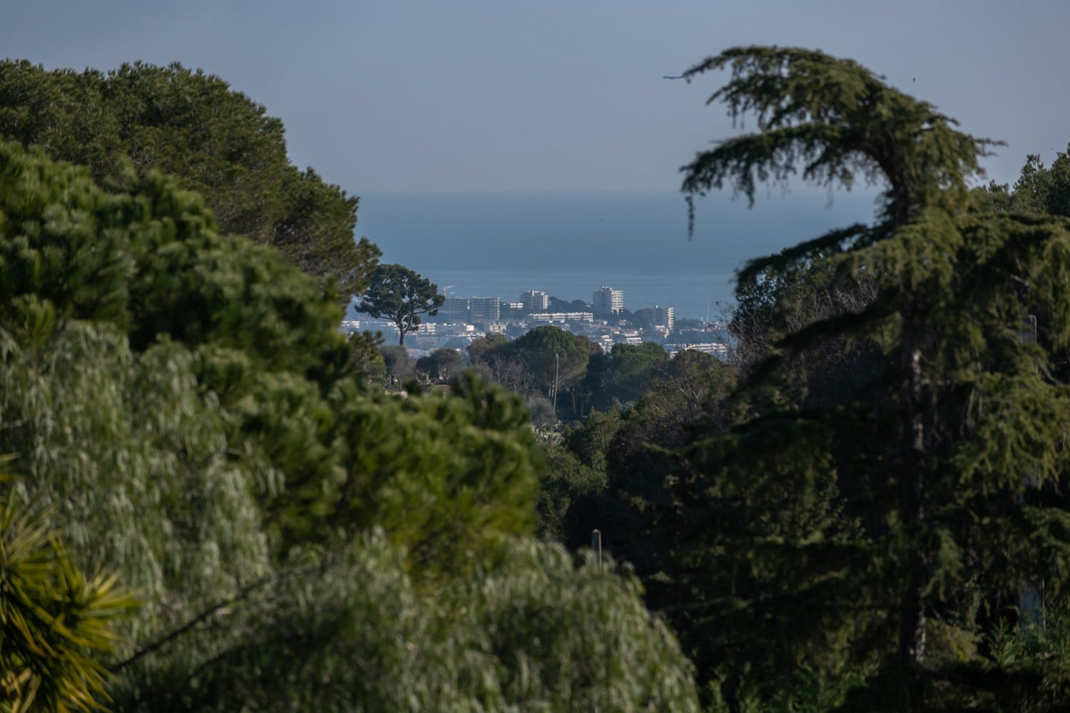 Locations meublées de qualité à cannes avec vue sur la mer