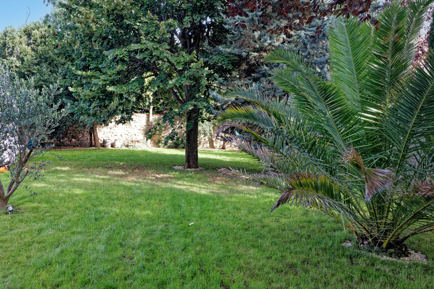 grand jardin d'une maison En location airbnb haut de gamme sur versailles