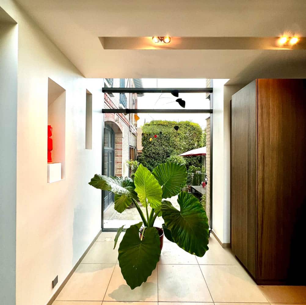 couloir avec grande plante d'une Locations meublées Versailles
