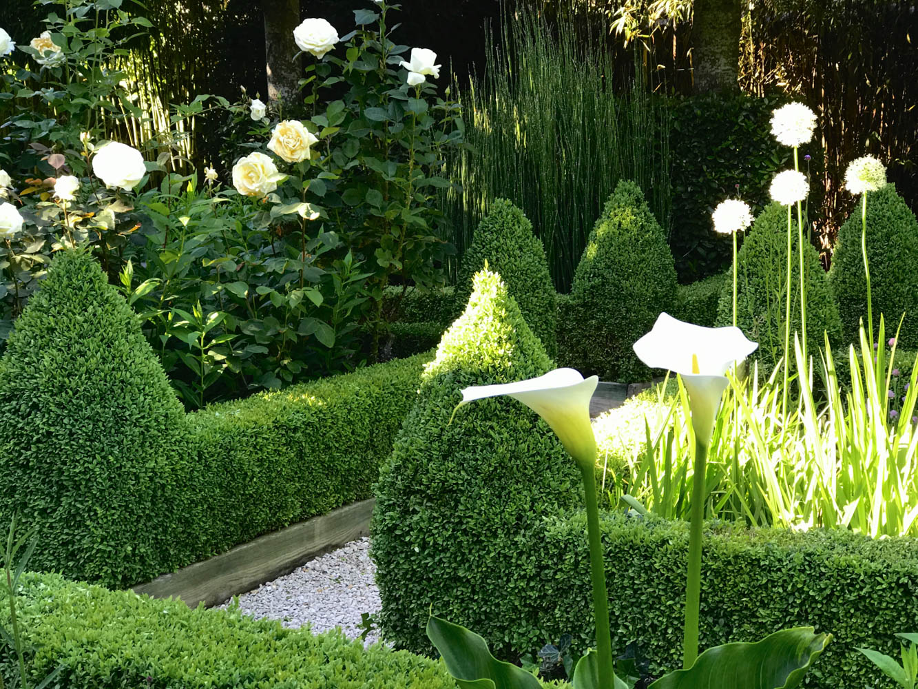 jardin avec allée et lys en Concierge privé Versailles