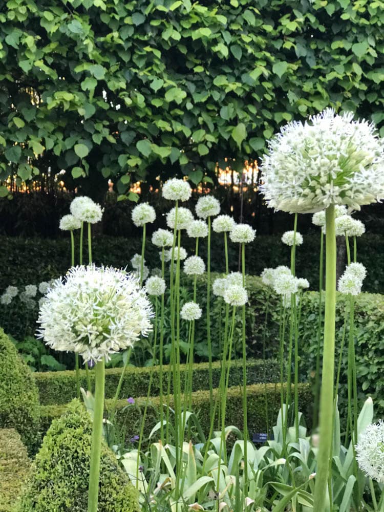 sublime jardin d'une maison en Gestion locative Versailles