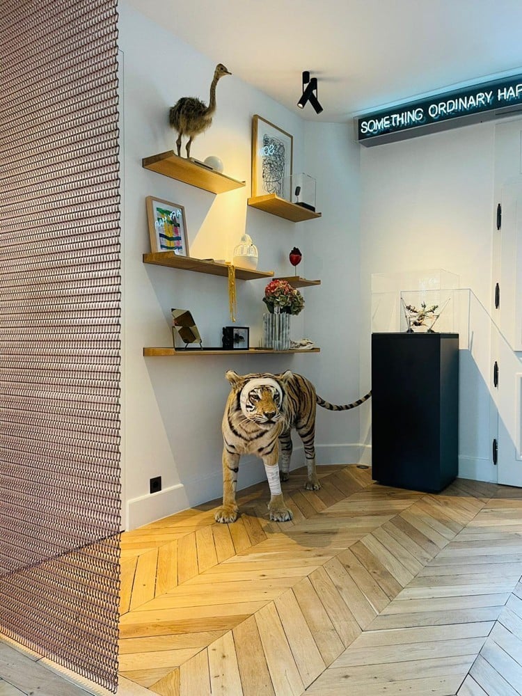 tres beau tigre dans une maison en location original en airbnb