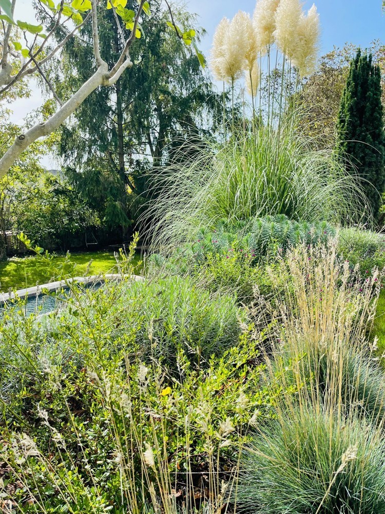 piscine dans un jardin d'une location sur versailles