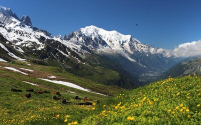 Séjour exclusif au Mont-Blanc
