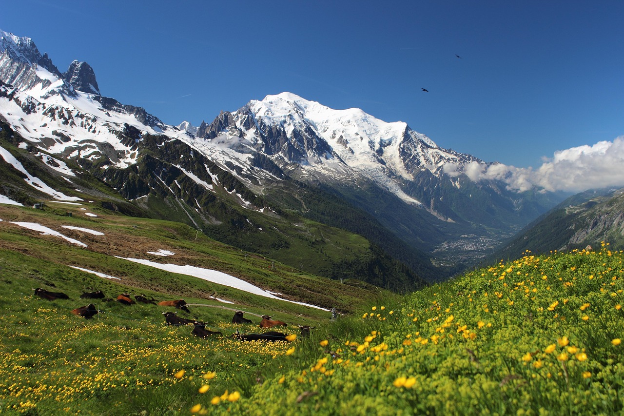 Séjour exclusif au Mont-Blanc