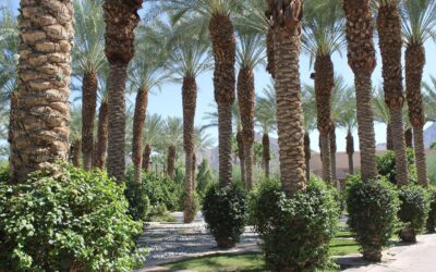 L’art du voyage haut de gamme à Marrakech : Gastronomie, culture et bien-être