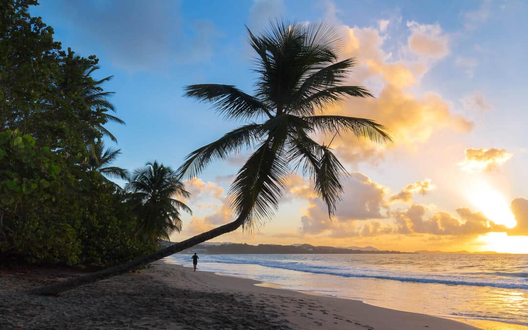 Les plus belles plages de Martinique : le guide 2026 pour une parenthèse d’exception